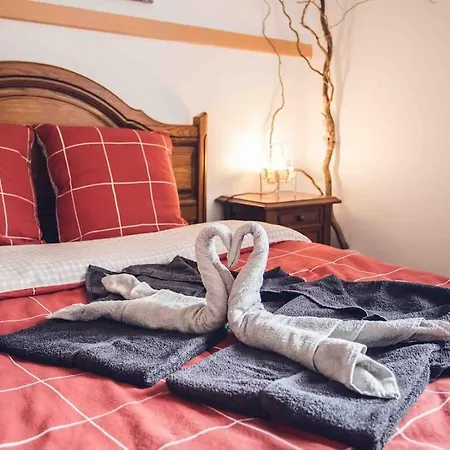Cosy Proche Centre-ville Et Gare 뮐루즈