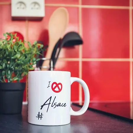 Cosy Proche Centre-ville Et Gare * Mulhouse